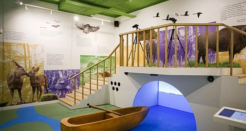 «Стань следопытом». Обзорная экскурсия по «Экспонариуму», мастер-класс на выбор, памятный сувенир, сертификат участника. БЕСТСЕЛЛЕР!