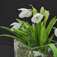 Мастер-класс «Лепка из холодного фарфора и японской полимерной глины»